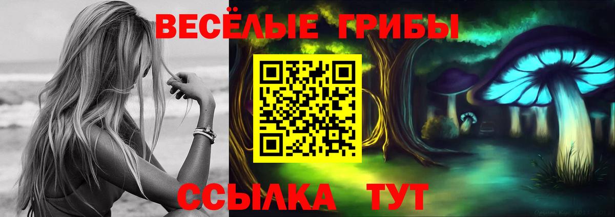 Назрань  Псилоцибиновые грибы мицелий  Вход с VPN 